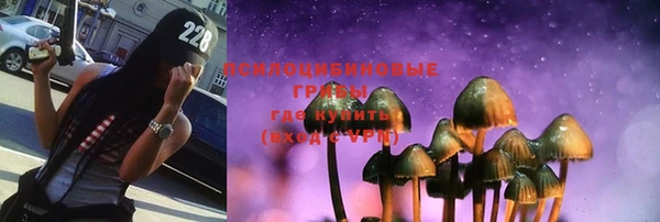 ПСИЛОЦИБИНОВЫЕ ГРИБЫ Карталы
