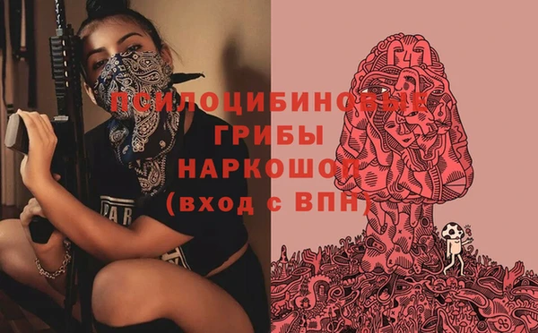 дживик Кинешма