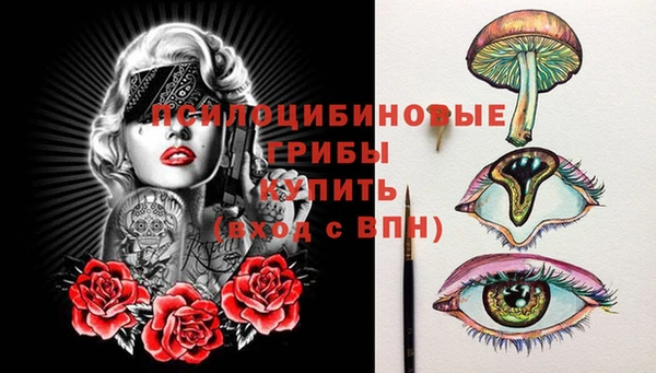 apvp Киреевск