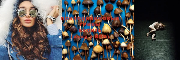apvp Киреевск