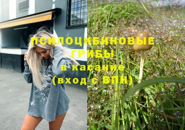 винт Карпинск