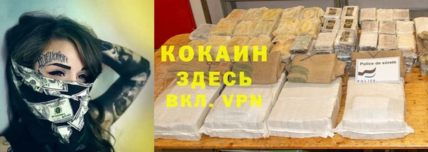 винт Карпинск