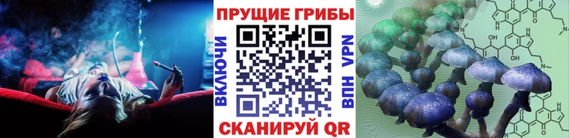 Купить  Коммунар  Галлюциногенные грибы GOLDEN TEACHER 